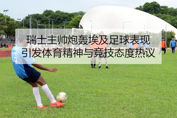 瑞士主帅炮轰埃及足球表现 引发体育精神与竞技态度热议